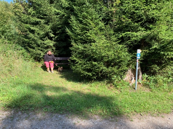 Versteckte Bank am Wegesrand