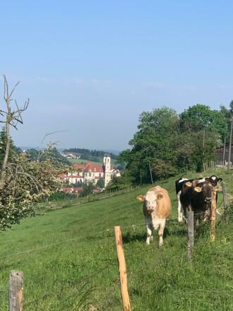 An der Viehweide entlang mit Blick auf die Basilika