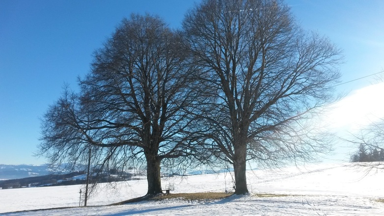 typische allgäuer Voralpenlandschaft bei Wiggensbach im Winter