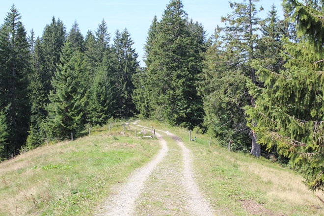 Wegbeschaffenheit