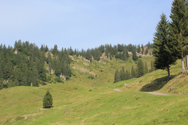 Weg richtung Alpe Spicherhalde