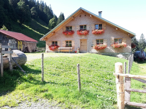 Alpe Sura