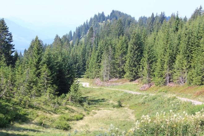 Natur Pur