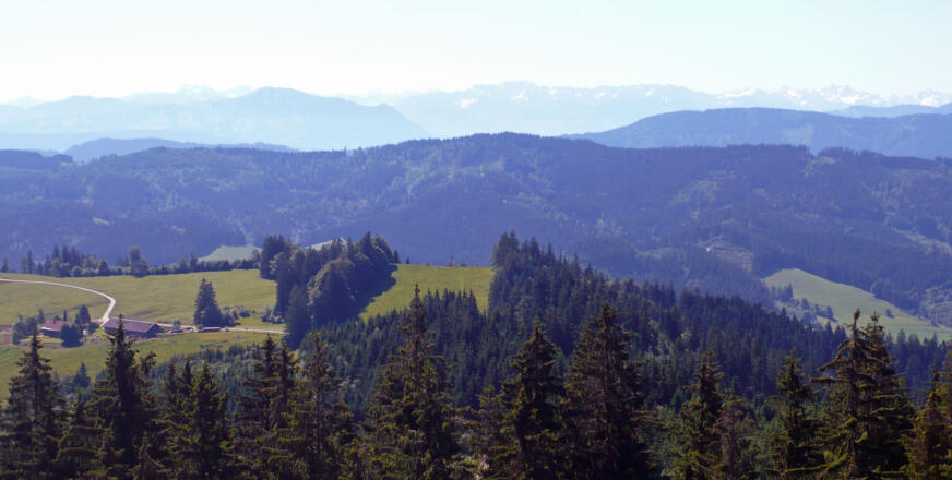 Blick auf die Wenger Egg und Alpenkette