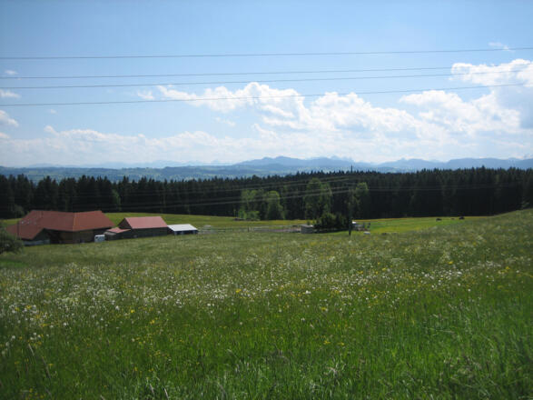 Panorama von Hellengerst