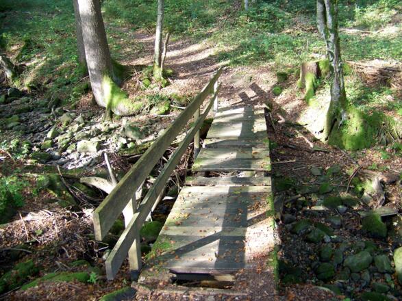 Bachbrücke im Wirlinger Wald.
