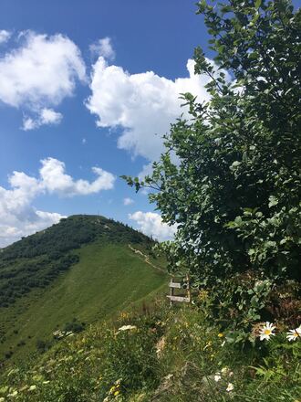 Blick zum Riedbergerhorn  