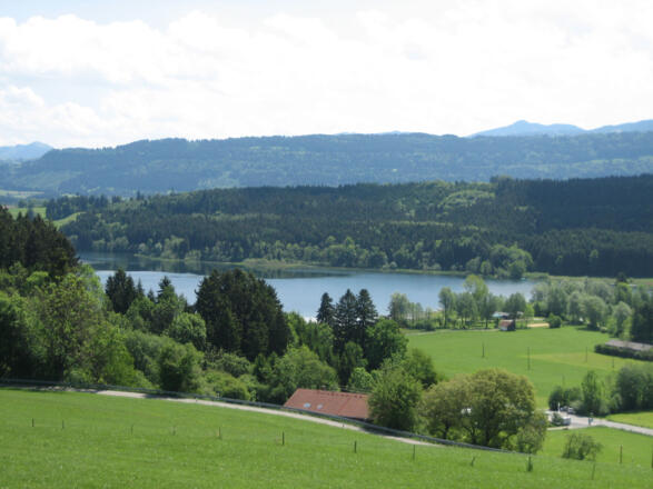 Der Niedersonthofener See