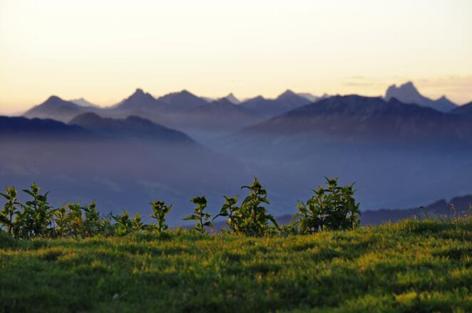 Blick von der Nagelfluhkette