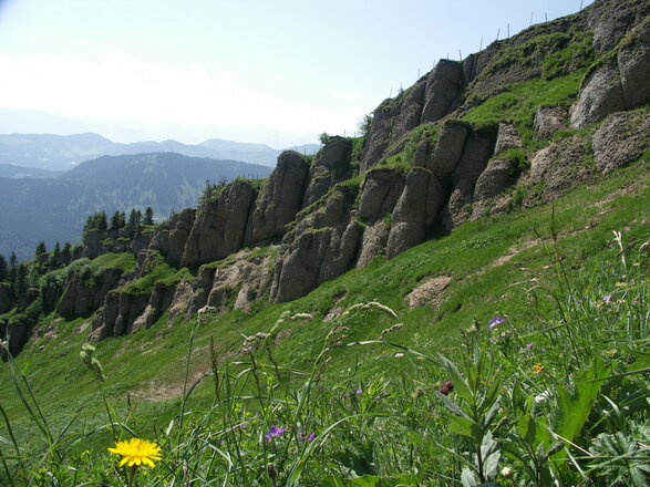 Nagelfluh begleitet uns auf unserer Tour.