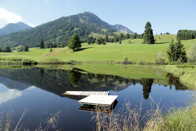 &quot;Floschen&quot;