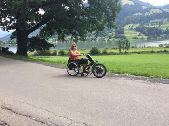 Elektrische Zughilfe Gray horse