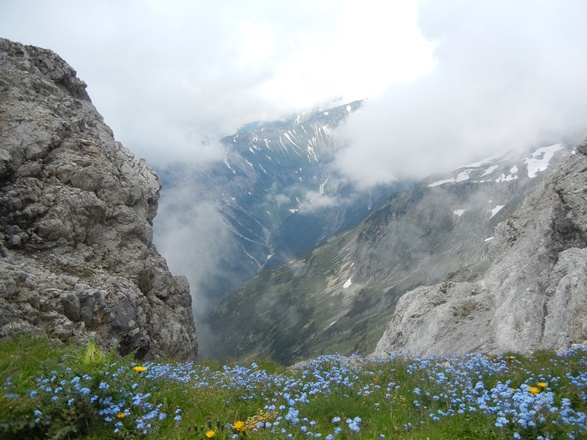 Ausblick