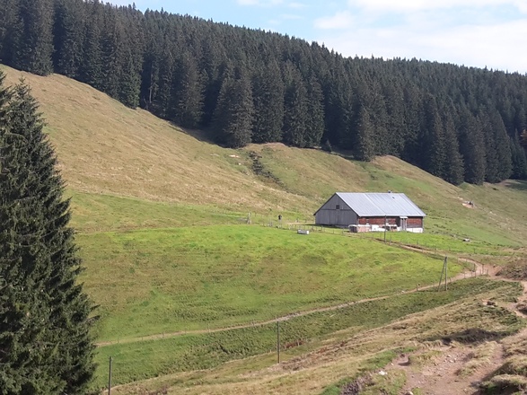 an der Alpe Alp