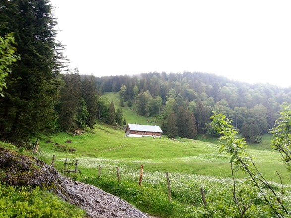 Blick auf die Kesselalpe