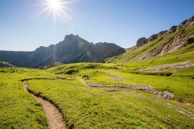 Herrliche Wiesenpfade auf dem Grenzgänger-Weg.
