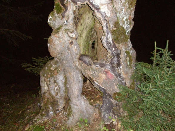 Stiller Begleiter am Wegesrand