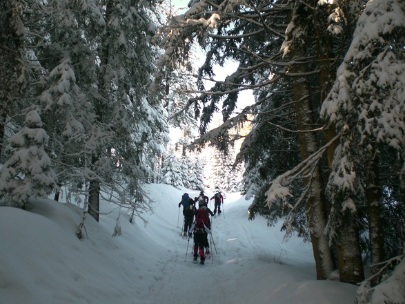 durch die Waldschneise am Edelsberg