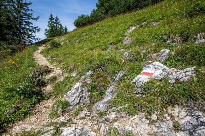 Angenehme Pfade auf der letzten Grenzgänger-Etappe.