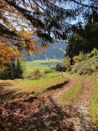 Traumhafter Herbst