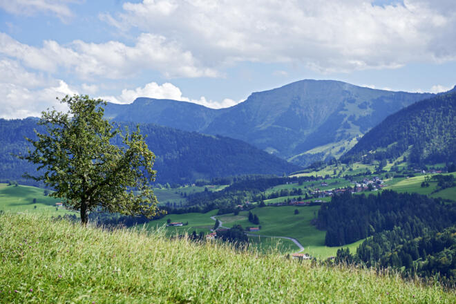 Blick vom Paradies zum Hochgrat
