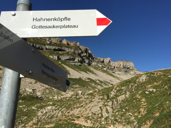 Richtung Hahnenköpfle und Gottesackerplateau