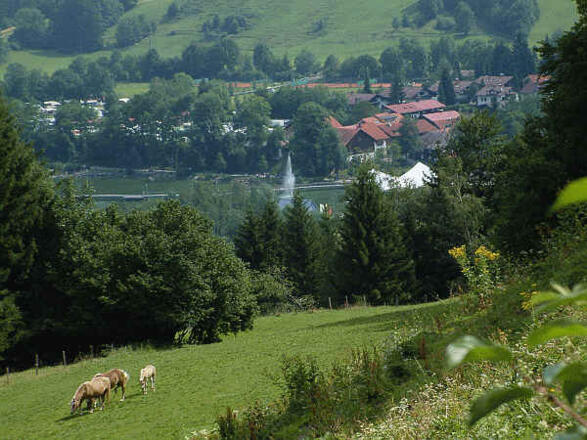 Rund um den Alpsee 2