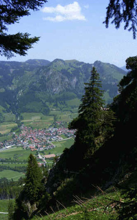 Ausblick