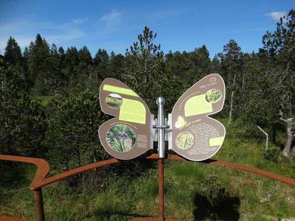 &quot;Palli&quot; Infotafel 