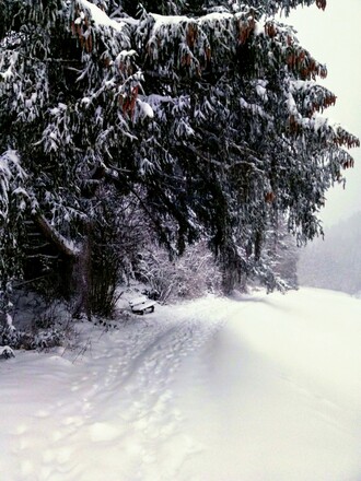 Geräumter Winterwanderweg