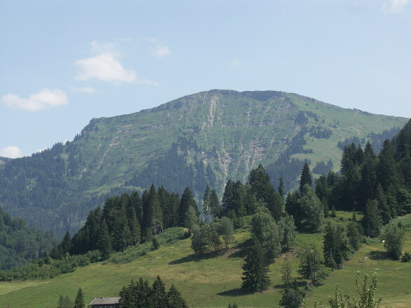 Blick auf den Hochgrat