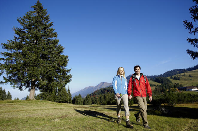 Wandern auf dem Hochmoor am Häderich