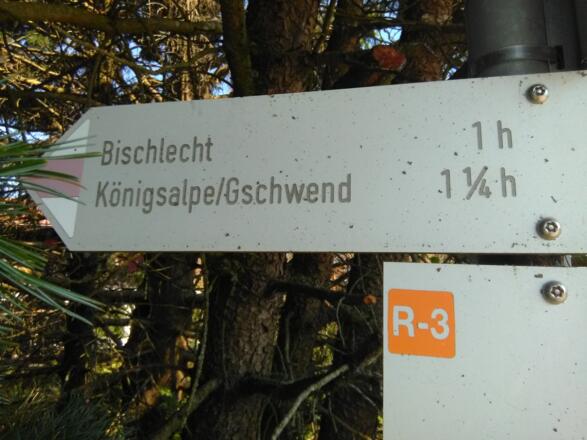 auf dem Weg zur Königsalpe