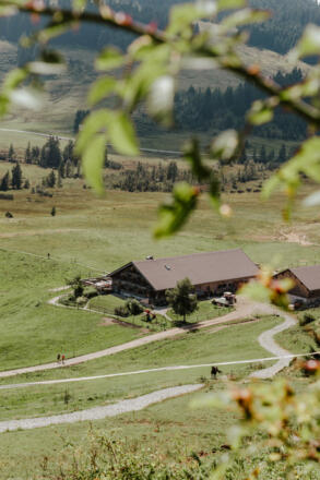 Alpe Gutschwanden (c) Nina Bröll / Vorarlberg Tourismus