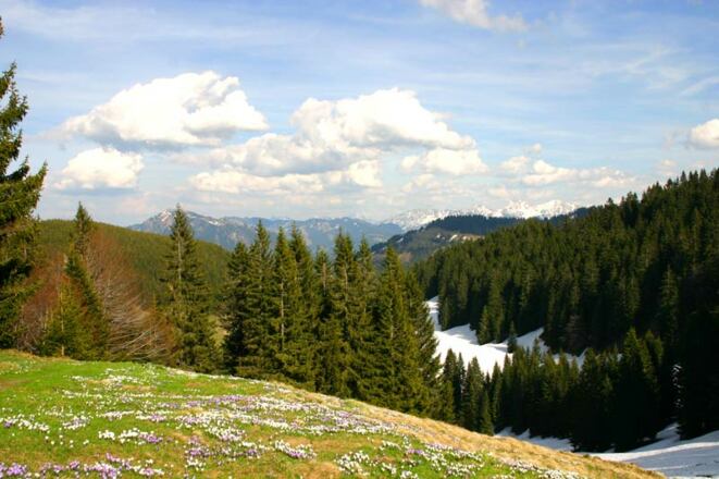 Ums Immenstädter Horn