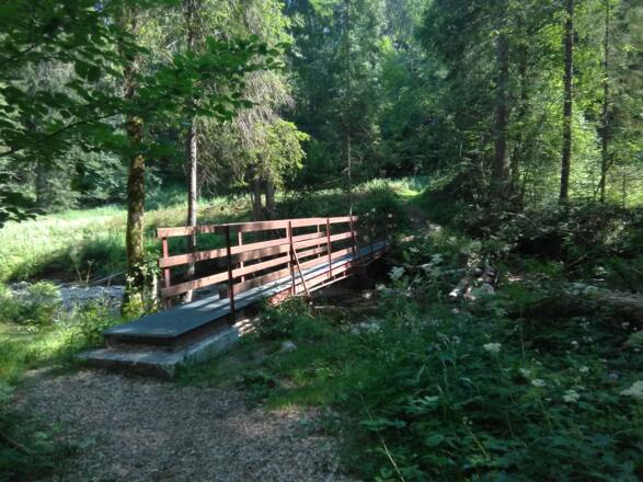 auf dem Weg zur Königsalpe