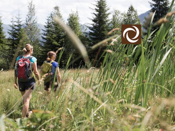 Wandern Hochmoor Hörnlepass - Walser Omgang