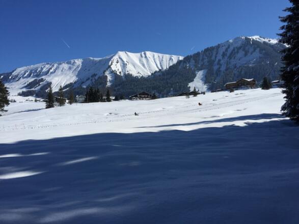 Rodellift Egg mit Blick auf Gehrenspitze und Fellhorngrat