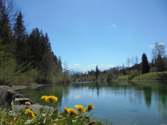 Frühling am Auwaldsee in Fischen im Allgäu