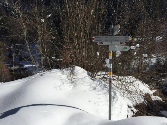 Weiter bis Walserschanz oder Abkürzung über das Waldhaus