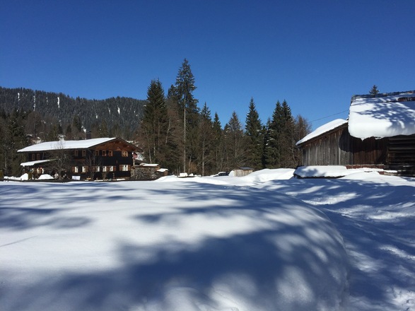 An der Fuchsloch-Alpe