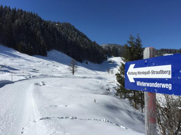 Richtung Straußberg