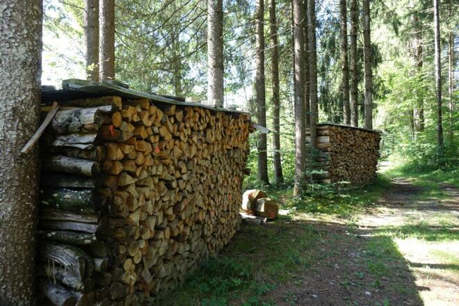 Holzstapel im Wald bei Fischen im Allgäu