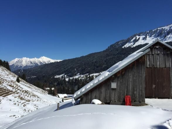 Am Straußberghof: Nebelhorn in Sicht