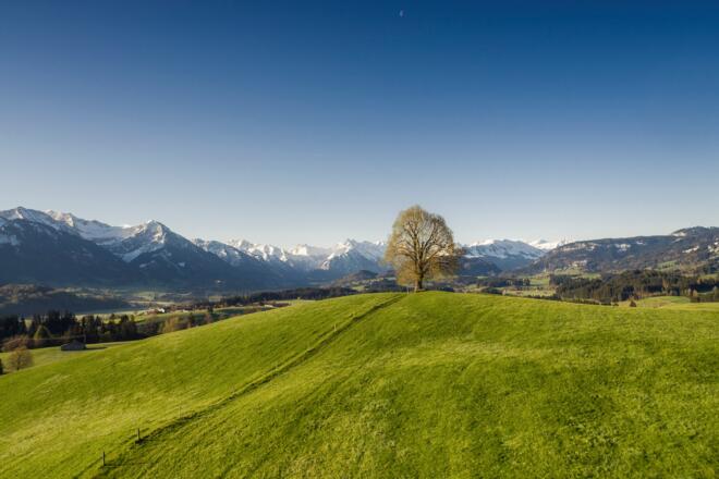 Wittelsbacher höhe bei Ofterschwang im Frühling