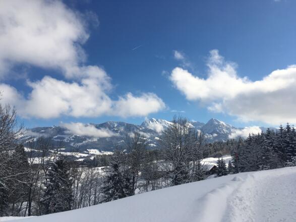 Blick nach Riedle und auf die Allgäuer Alpen