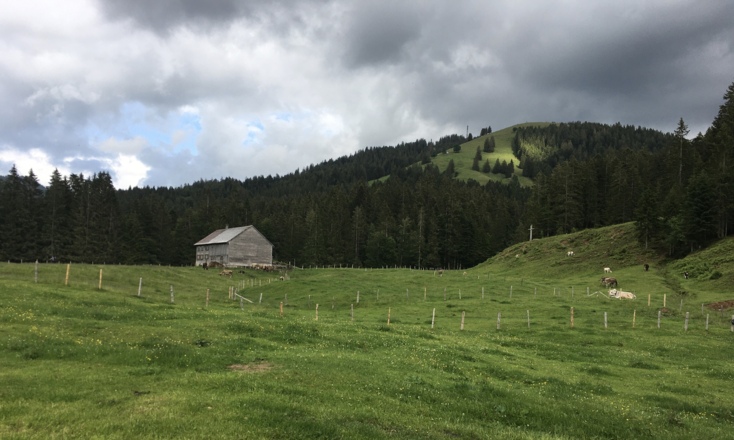 Alpe Lappach