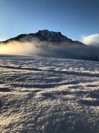 Aussicht Höhenweg auf Sorgschrofen