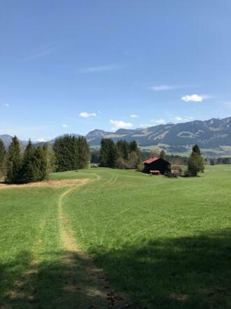Wiesenweg nach Dietrichs