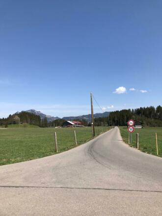 Sie folgen ein kurzes Stück der Teerstraße